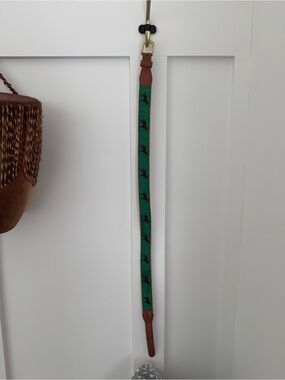 Size 28 Boys Belt Green with Dark Brown Dogs